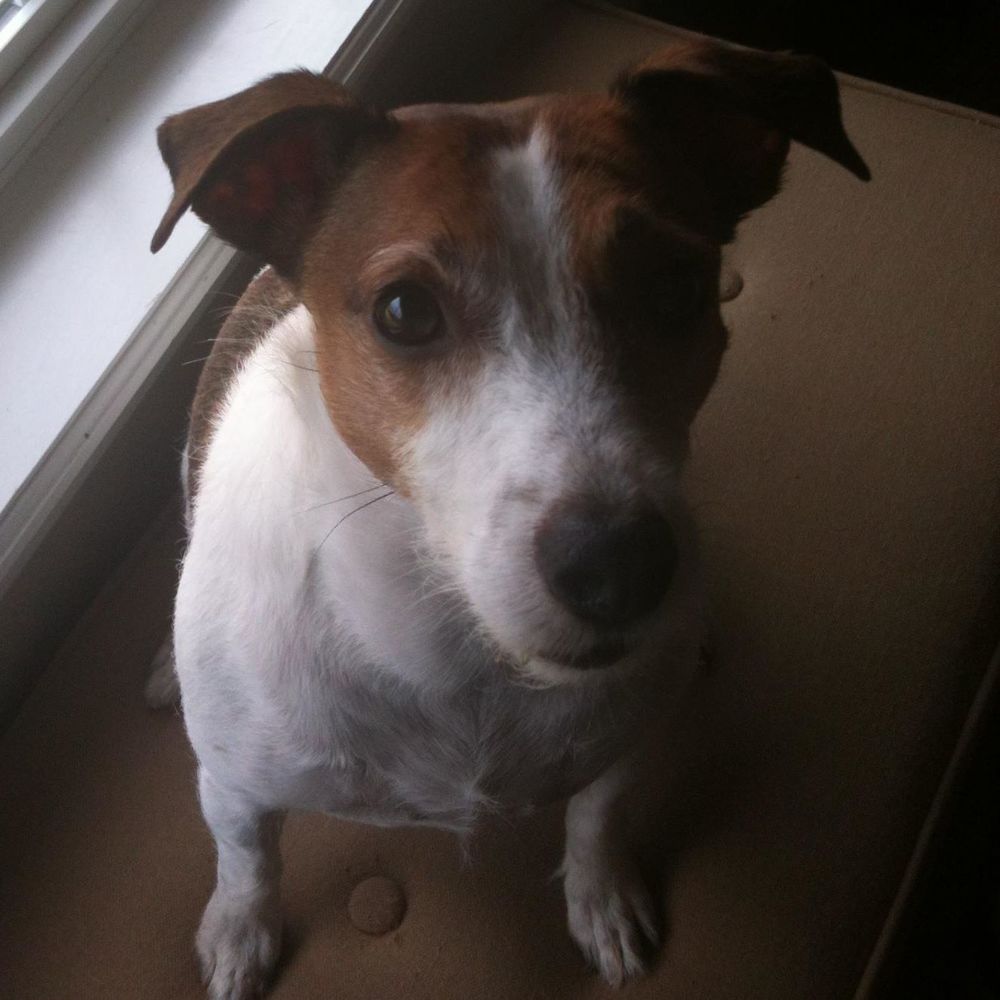 Meet your Posher, Tonja